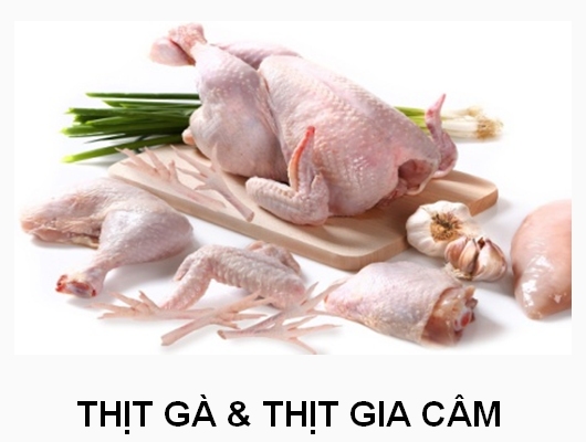 THỊT GÀ & THỊT GIA CẦM