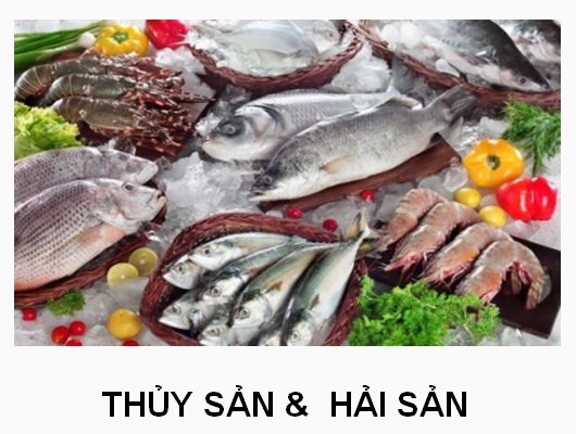 THỦY SẢN & HẢI SẢN